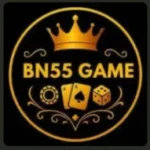 BN55