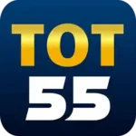 Tot55 game